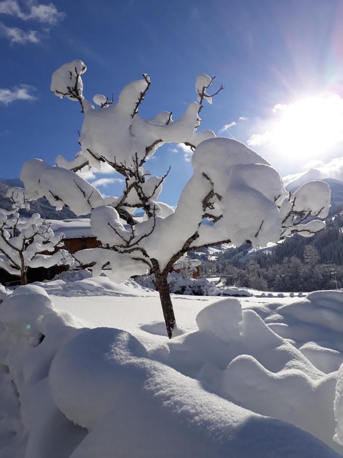 Haus Gmahblick Ferienwonungen Hotell Alpbach Exteriör bild