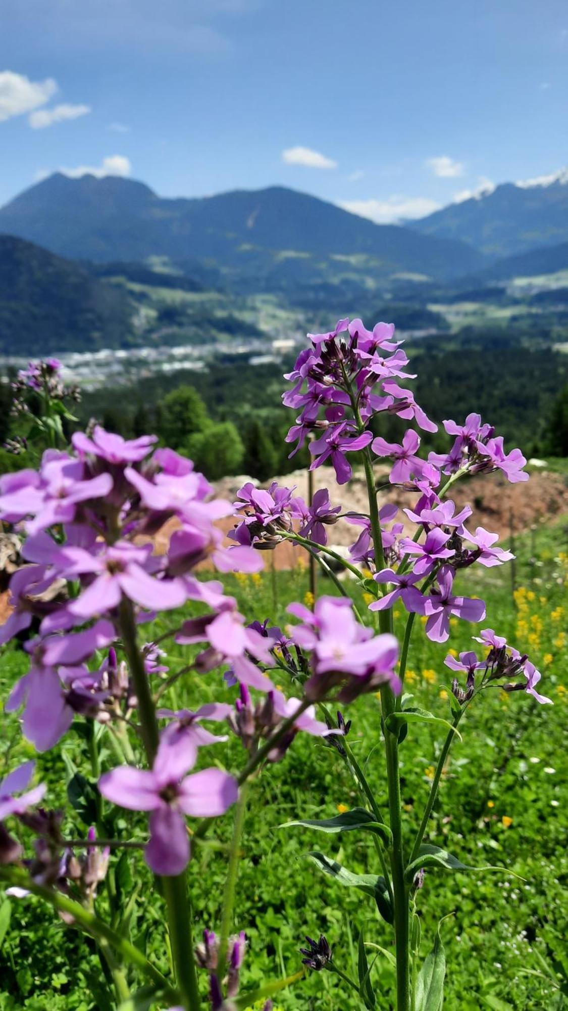 Haus Gmahblick Ferienwonungen Hotell Alpbach Exteriör bild